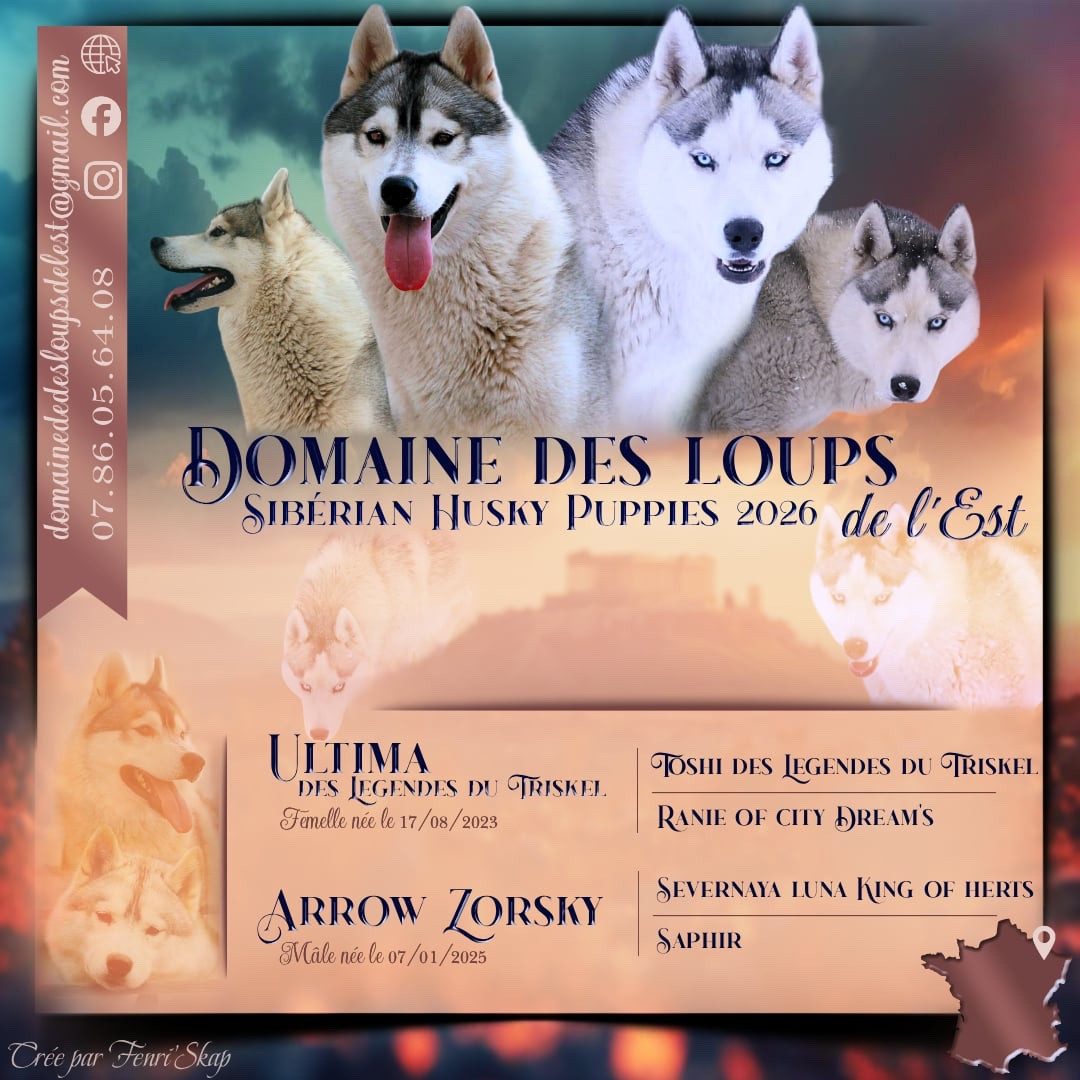 De petites empreintes se dessinent à l horizon